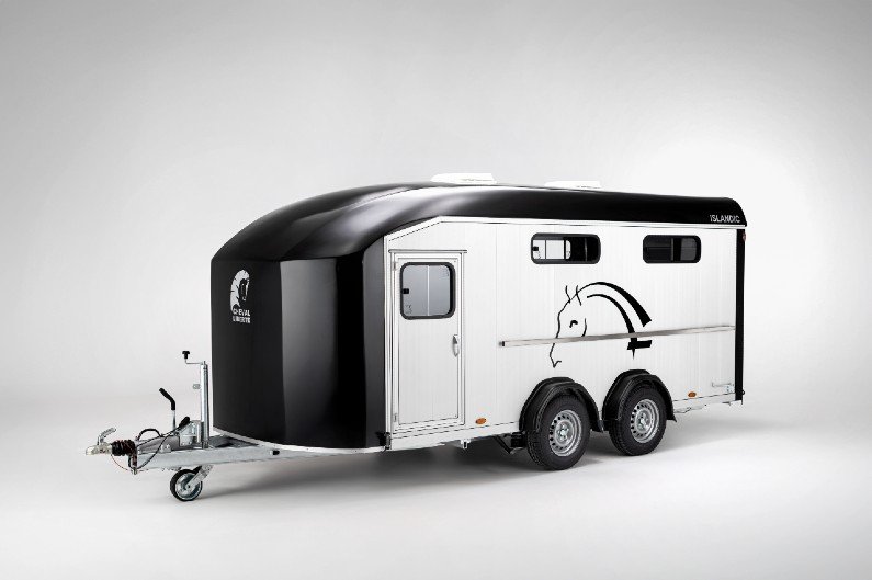 Cheval Liberté Islandic