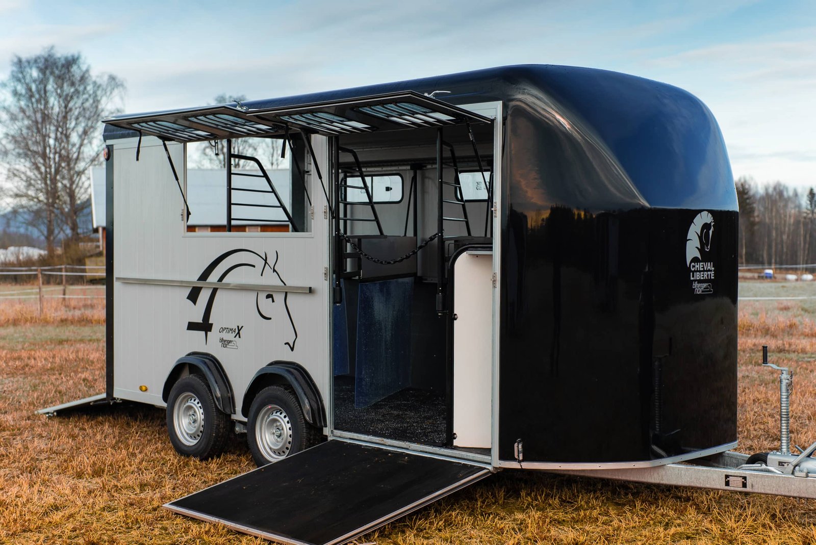 Cheval Liberté MAXI 4