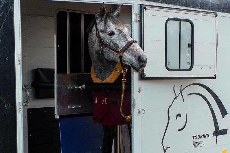 Cheval Liberté Touring Country – Image 9